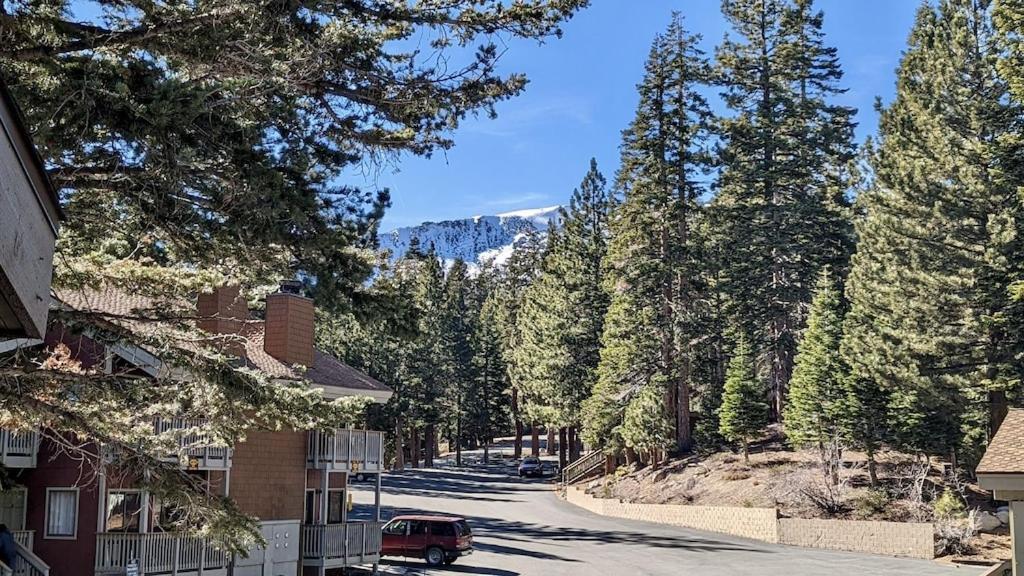 Cozy Condo Walking Distance To Village And Gondola W/ Pool/ Jacuzzi Sleeps 4. Mammoth Lakes Bagian luar foto
